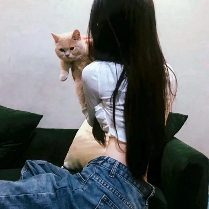 绅士强盗